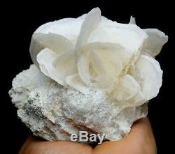 833.8g Beauty Rare White Schistose Calcite Crystal Cluster Mineral Samples/China