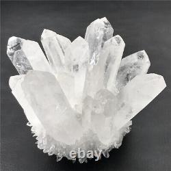 840g natural white cluster quartz crystal point mineral specimen gem XC2860