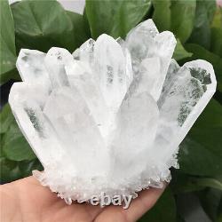 840g natural white cluster quartz crystal point mineral specimen gem XC2860