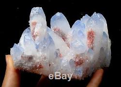847.4g NEW Find! Rare Beautiful Clear QUARTZ Blue Top Crystal Cluster Specimen