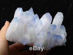 847.4g NEW Find! Rare Beautiful Clear QUARTZ Blue Top Crystal Cluster Specimen
