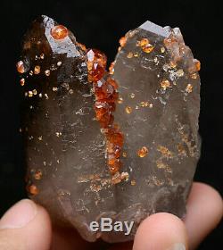 87.6g NATURAL Smoky Quartz Garnet Crystal Cluster Mineral Specimen