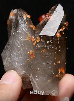 87.6g NATURAL Smoky Quartz Garnet Crystal Cluster Mineral Specimen