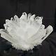 871g New Find White Phantomquartz Crystal Cluster Mineral Specimen