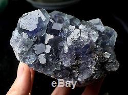 884.6g NATURAL Blue FLUORITE Quartz Crystal Cluster Mineral Specimen