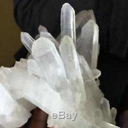 894g Large Natural Clear White Quartz Crystal Cluster Rough Healing Specimen