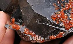 895.5g NATURAL Smoky Quartz Garnet Crystal Cluster Mineral Specimen