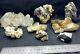 8pcs Large Sizes Quartz & Mixed Tourmaline Clusters Mineral Specimens Lot 2200gm