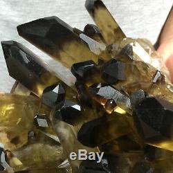 9.0lb Huge Natural Black Smoky Quartz Crystal Cluster Rough Healing Specimen
