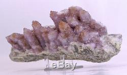 9.25 AMETHYST Spirit Cactus Quartz Crystal Cluster South Africa Q-243