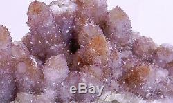 9.25 AMETHYST Spirit Cactus Quartz Crystal Cluster South Africa Q-243