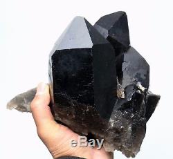 9.3LB Natural Beauty Rare Black Quartz Crystal Cluster Mineral Specimen