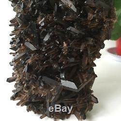 9.3lb Huge Natural Black Smoky Quartz Crystal Cluster Rough Healing Specimen