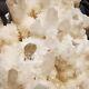 9.81lb Natural White Quartz Pineapple Cluster Mineral Crystal Specimen Healing