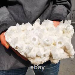 9.81LB Natural white Quartz Pineapple Cluster Mineral Crystal Specimen Healing