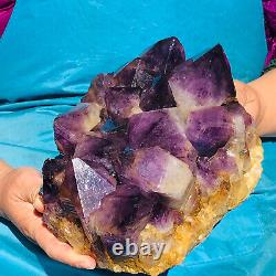 9.96LB Natural Amethyst Cluster Quartz Crystal Mineral Specimen Healing