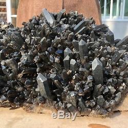 91LB Natural black Quartz Cluster Mineral vug Crystal Healing 31.4 TT521