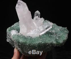 937g New Find Green& White Phantom Quartz Crystal Cluster Mineral Specimen