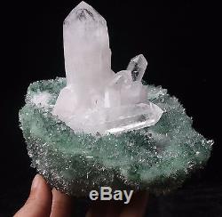 937g New Find Green& White Phantom Quartz Crystal Cluster Mineral Specimen