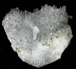 945g Clear Natural Beautiful White Chrysanthemum QUARTZ Crystal Cluster Specimen
