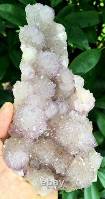 946g Natural Fantastic Cactus Amethyst Crystal Cluster South Africa ip0966