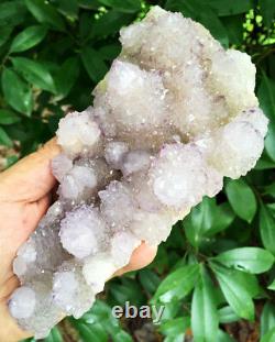 946g Natural Fantastic Cactus Amethyst Crystal Cluster South Africa ip0966