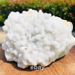 955g Natural Clear Fluorite Quartz Crystal Cluster Mineral Specimen C734