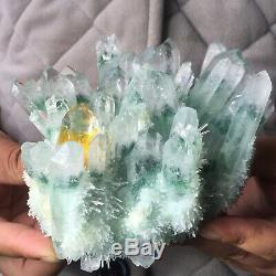 988g Large Clear Green Phantom Quartz Crystal Cluster Healing Mineral Specimen