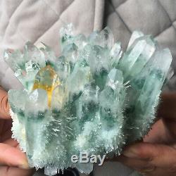 988g Large Clear Green Phantom Quartz Crystal Cluster Healing Mineral Specimen