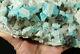 A Big! 100% Natural Amazonite Crystal Cluster With Smoky Quartz! Colorado 2151gr