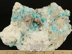 A Big! 100% Natural Amazonite Crystal Cluster with Smoky Quartz! Colorado 2383gr