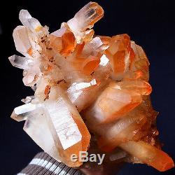 Aeolus! Rare Elestial Angel Pinkish Orange Amazingly Lemurian Quartz Cluster