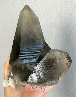 Amazing LARGE SMOKY LEMURIAN QUARTZ CLUSTER Unpolished Crystal! Brazil 806 Gm