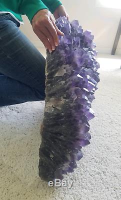 Amethyst Crystal Giant Deep Purple Cluster 145 lbs Museum Grade Quality Dino