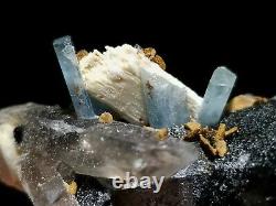 Aquamarine Beryl with Tourmaline & Quartz Crystal Cluster WOW 6 Minerals