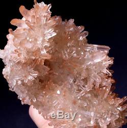 Awesome! Dragon Elestial Angel Pink Lemurian Quartz Cluster Crystal Point