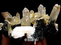 Black Hematite Crystals & Quartz Cluster Mineral Display Specimen