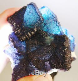 Blue Fluorite Cryst Cluster Quartz Museum Quality Fine Mineral Matrix Specimen