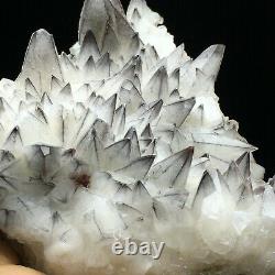 Blue Skin White Dog Tooth Fluorescent Calcite Crystal Cluster Mineral Specimen