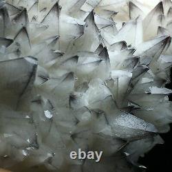 Blue Skin White Dog Tooth Fluorescent Calcite Crystal Cluster Mineral Specimen