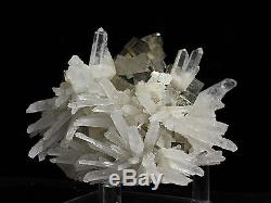 Bright Pyrite Crystals & Scepter Quartz Cluster Mineral From Shangbao, China