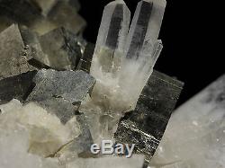 Bright Pyrite Crystals & Scepter Quartz Cluster Mineral From Shangbao, China