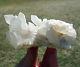 Clear Quartz Growth Interference Crystal Point Cluster Russian Spectacular Size