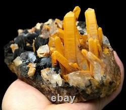 Citrine Crystal Cluster & Flower Shape Specularite Mineral Specimen/China Y00921