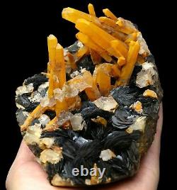 Citrine Crystal Cluster & Flower Shape Specularite Mineral Specimen/China Y00921