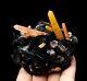 Citrine Crystal Cluster & Flower Shape Specularite Mineral Specimen/china Y01139