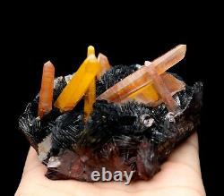 Citrine Crystal Cluster & Flower Shape Specularite Mineral Specimen/China Y01139