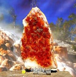 Citrine Quartz Crystal Cluster Large Natural Raw Healing Mineral Druzy 1558g