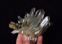 Clear Phantom Quartz Cluster Himalayan Crystal /Mineral 130x90mm, Extra Quality