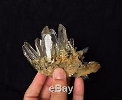 Clear Phantom Quartz Cluster Himalayan Crystal /Mineral 130x90mm, Extra Quality